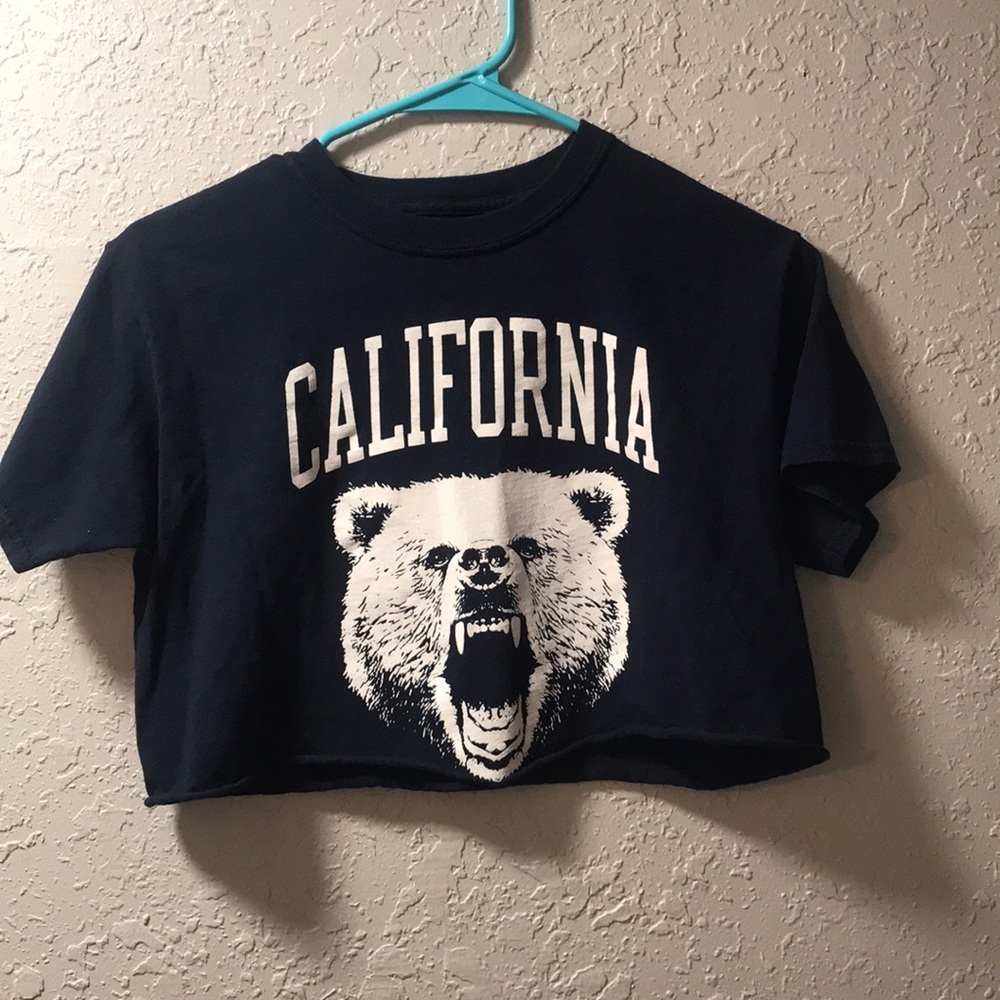PacSun brandy Melville crop top